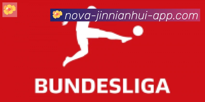 jinnianhui金年会体育合作伙伴
